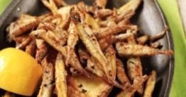 Gebratene Anchovis