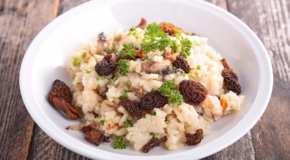 Morchelrisotto