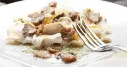 Tortellini mit Pilze-Käse-Sahnesauce