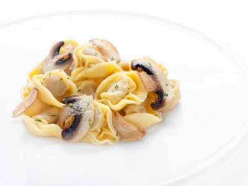 Tortelloni in Champignon-Sauce