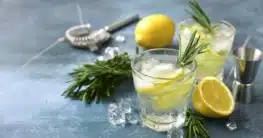 Alkoholfreier Gin