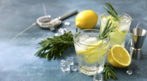 Alkoholfreier Gin