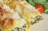Ricotta-Canneloni
